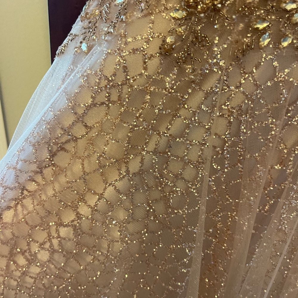Prom Dress - Picture 9 of 10